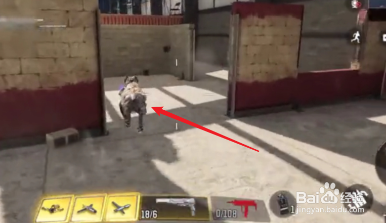 使命召唤手游军犬技能怎么用？