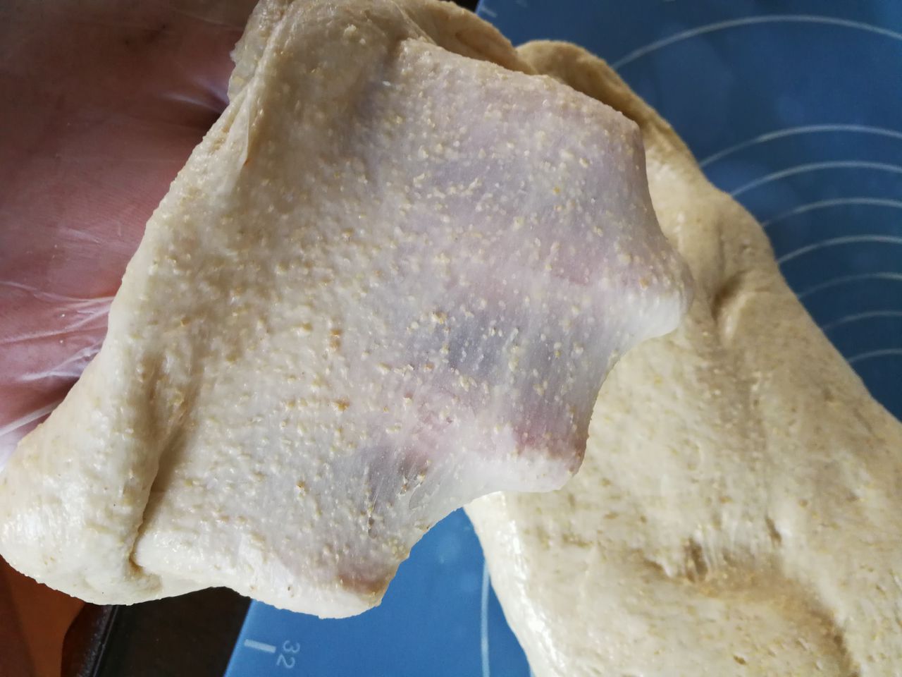 教你做全麦吐司，味道美极了