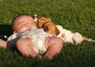 夏季婴儿剃光头有害怎么办