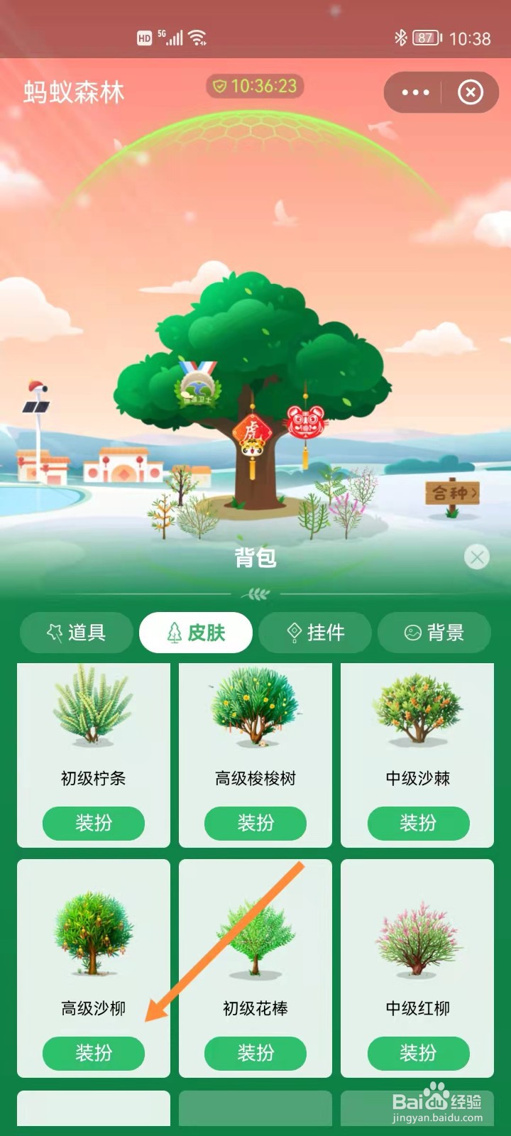支付宝蚂蚁森林如何更换皮肤