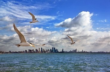 特别讨厌一个人的经验