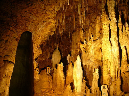 核辐射后继续去日本旅游