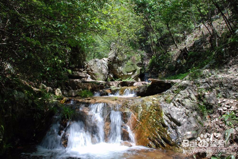 清明济南旅游攻略