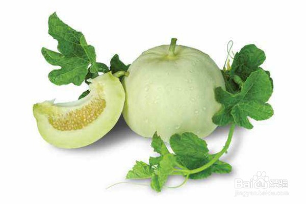 到佛山不容错过的8种特色美食