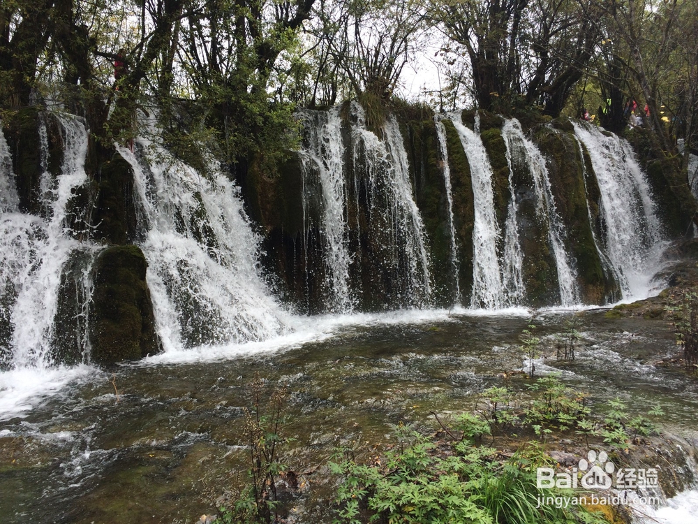 四川九寨沟、黄龙3天2夜旅游攻略