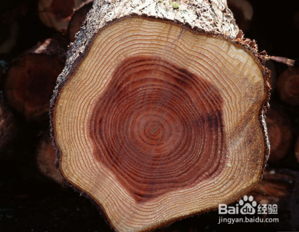 刺猬紫檀沙发价格为什么这么贵