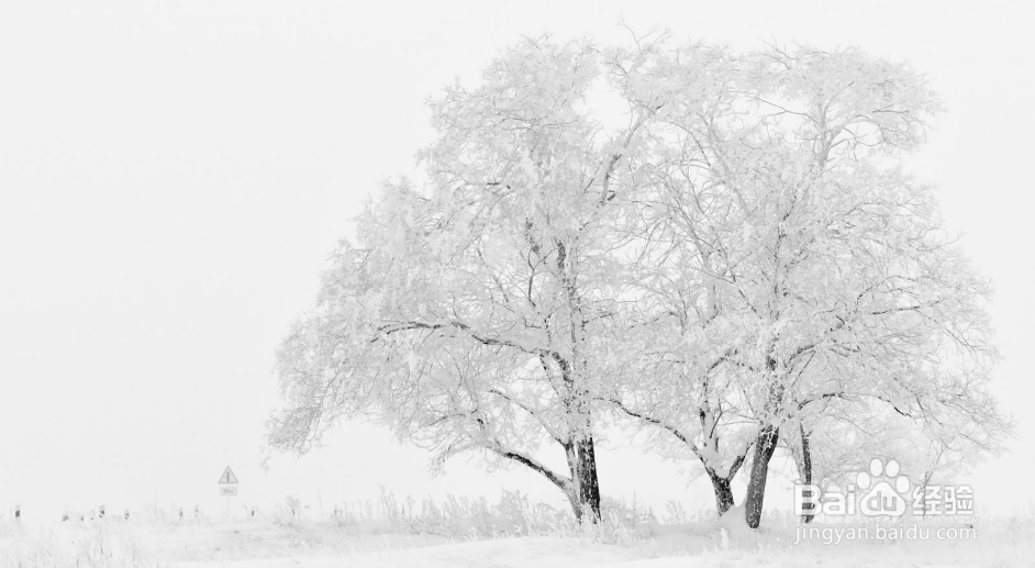 北方的冬天怎么样？如何适应北方的冬季生活？