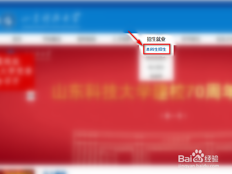 山东科技大学查询录取