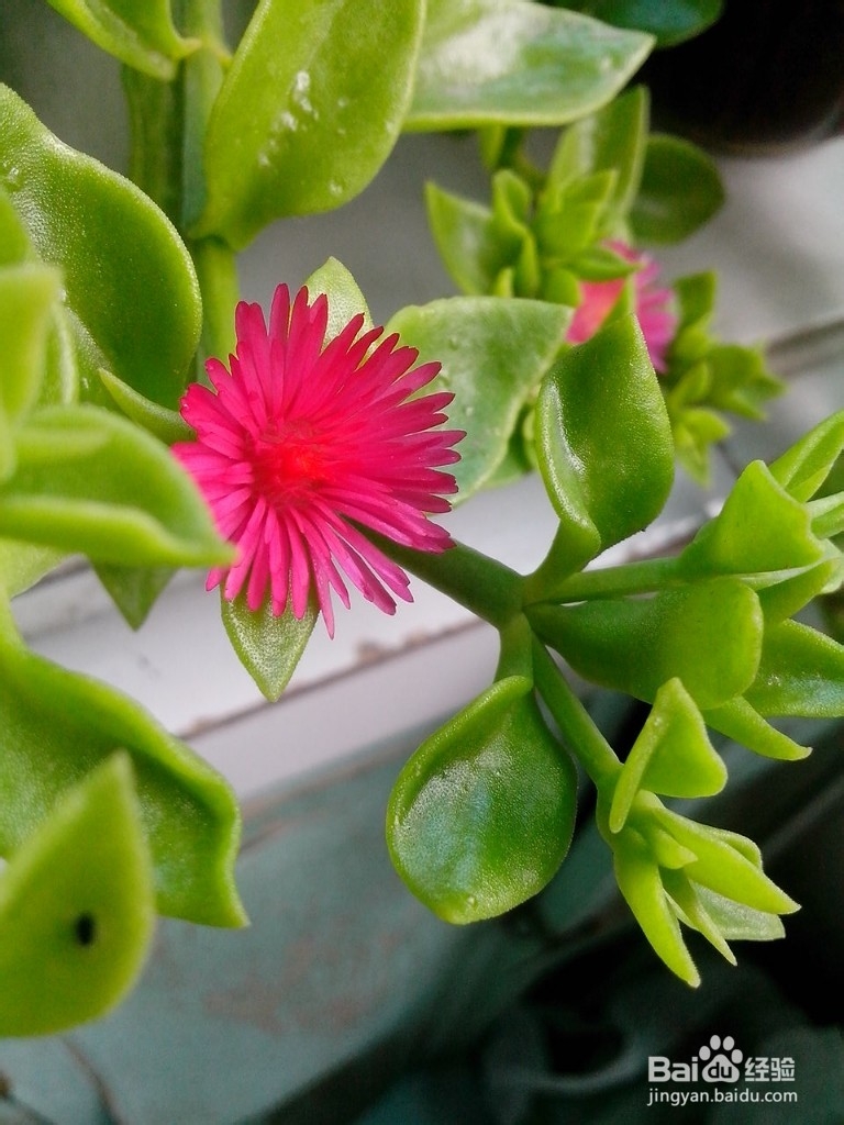 手机摄影教你拍出城市大片