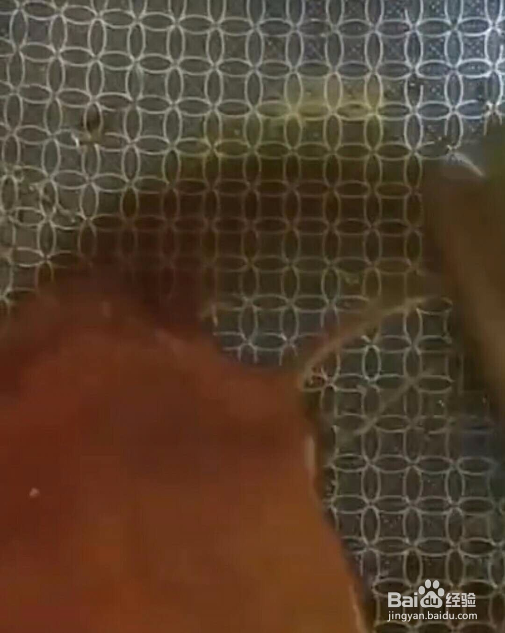油炸花生米做法