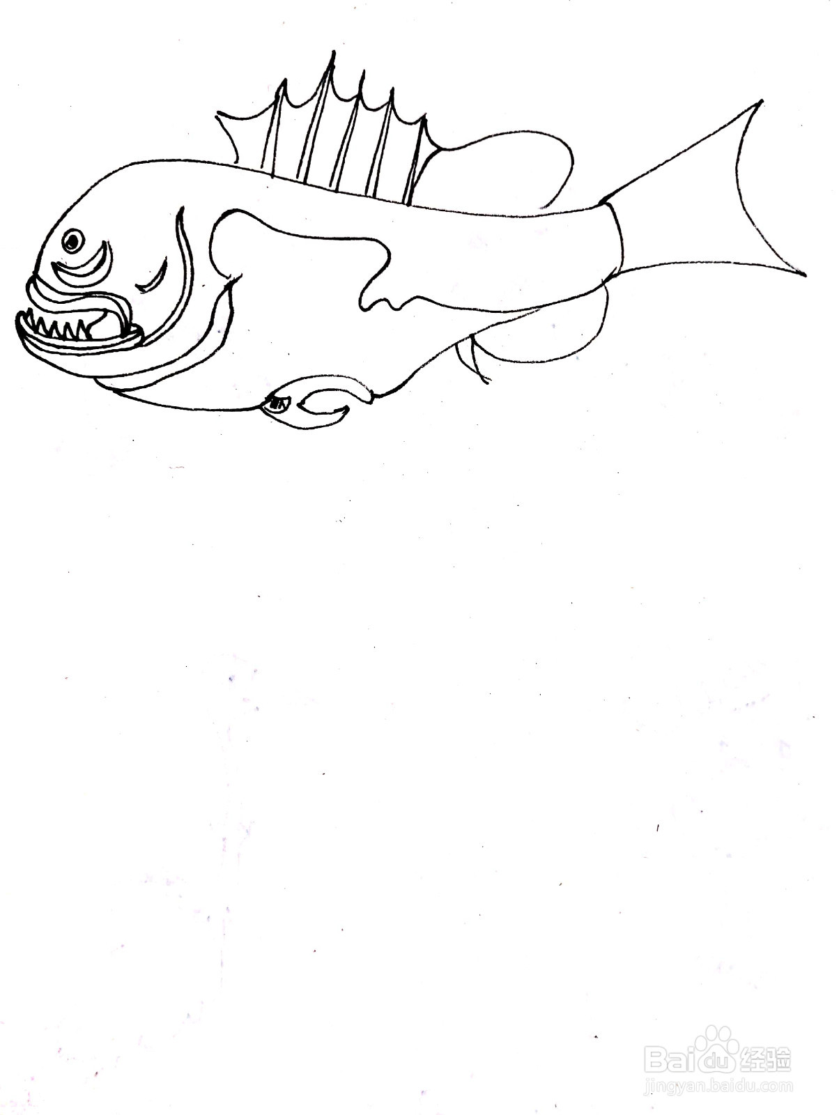 昂刺鱼线描画怎么画