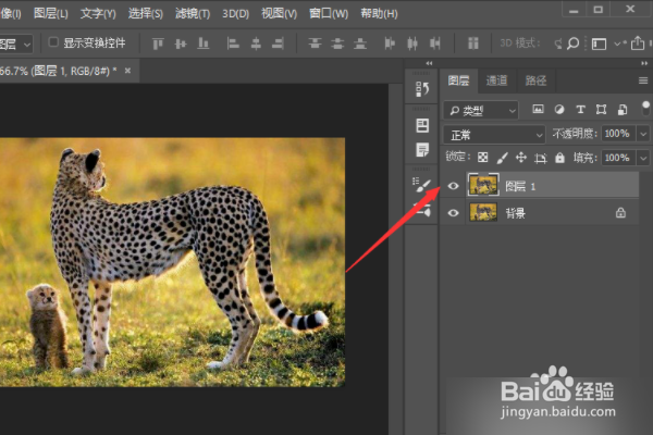 怎样在ps中把图片变成线描的?