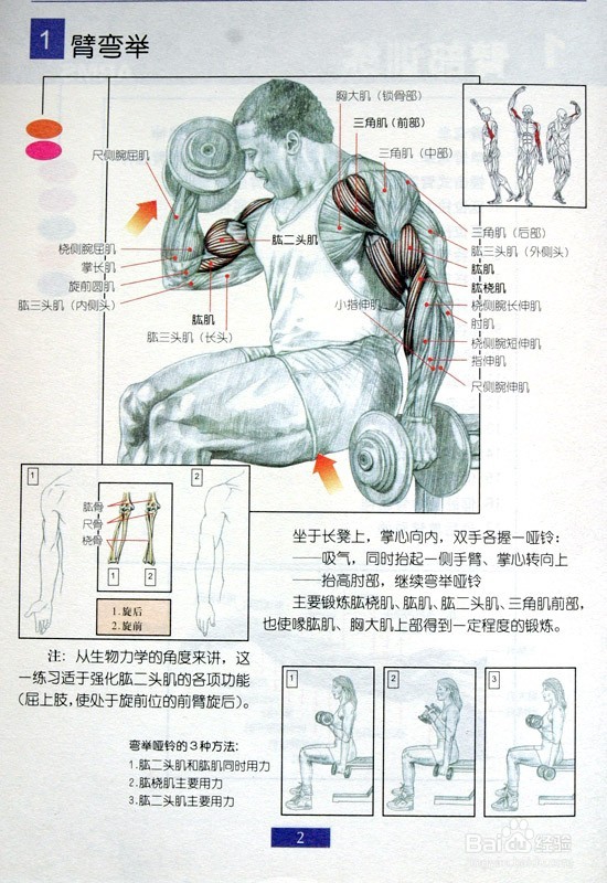男士必须收藏：男士肩部和手臂健身方法