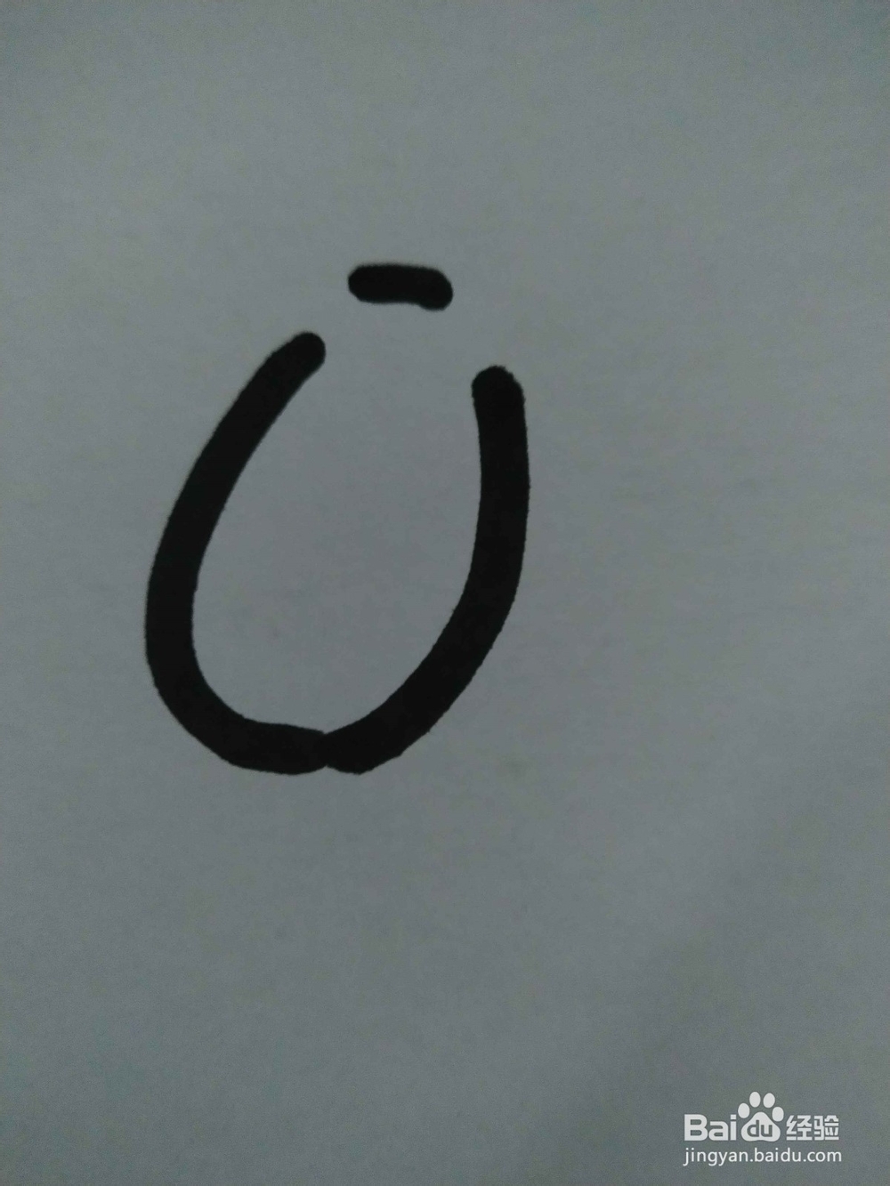 毛驴的简笔画技法15