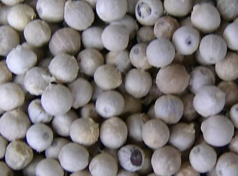 女性痛经三类禁吃食物