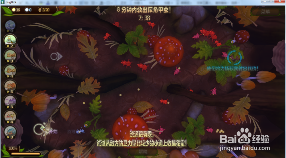 虫虫大作战—营救犀角甲虫攻略
