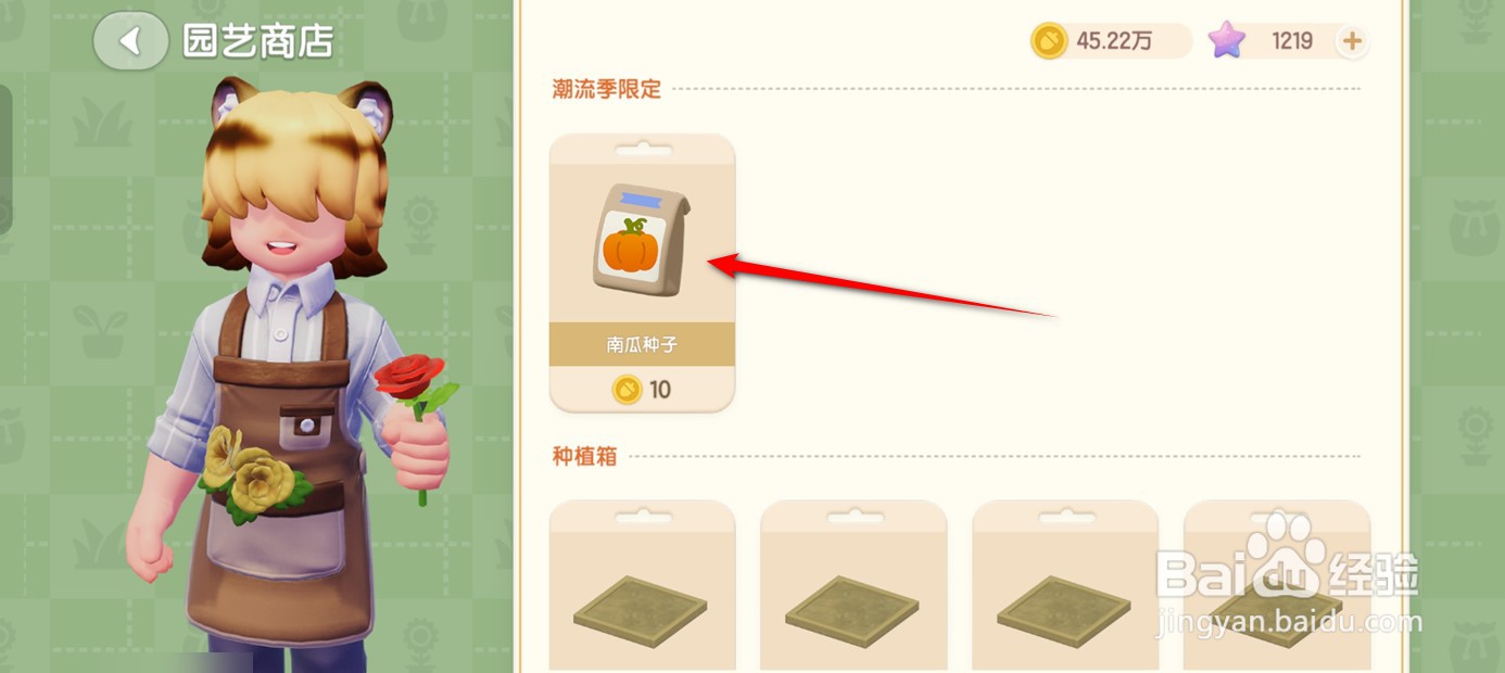 心动小镇如何购得南瓜种子