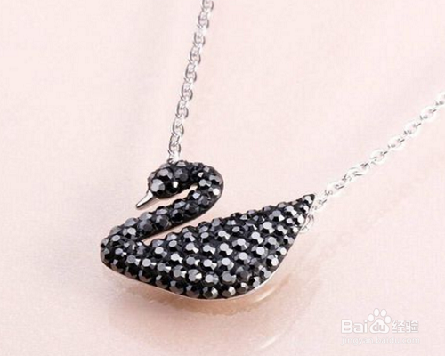 怎么区分黑天鹅真假