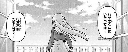 钉宫四萌从不会输,《旋风管家》漫画连载完结