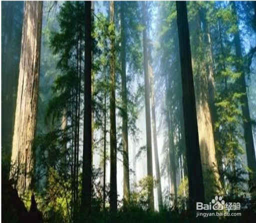 上海周边游攻略(千岛湖&森林氧吧)