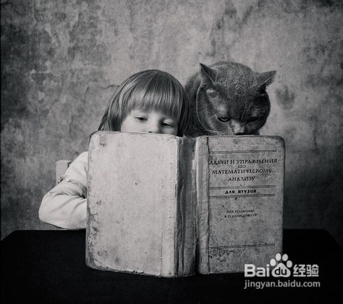 如何激发孩子的好奇心和学习兴趣