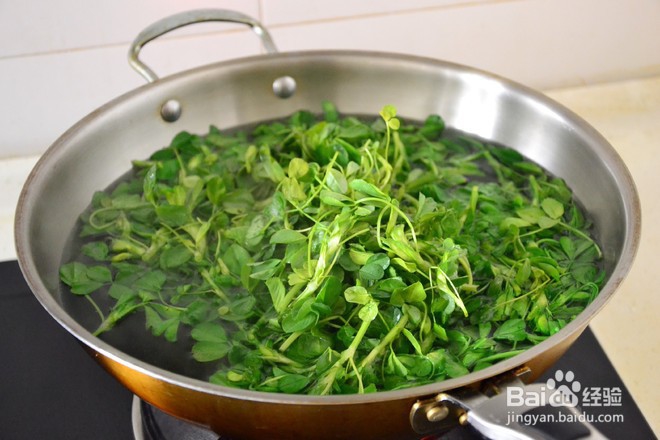 如何做凉拌苜蓿？