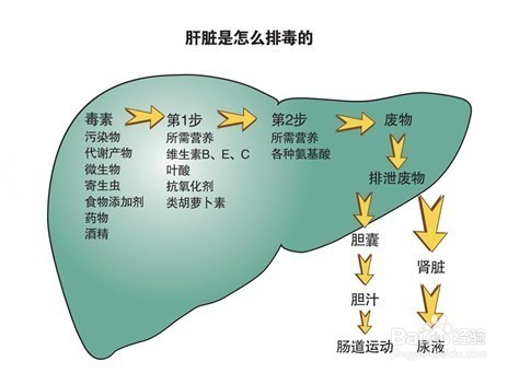 用跑步来缓解便秘