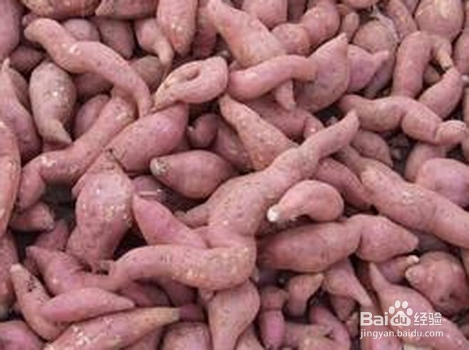 不能与大闸蟹同食的食物你知道哪些？