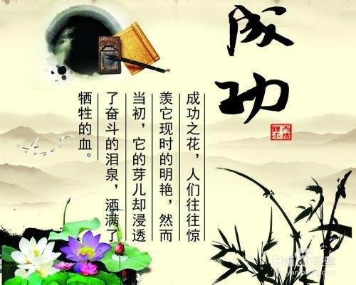 配置与分散化