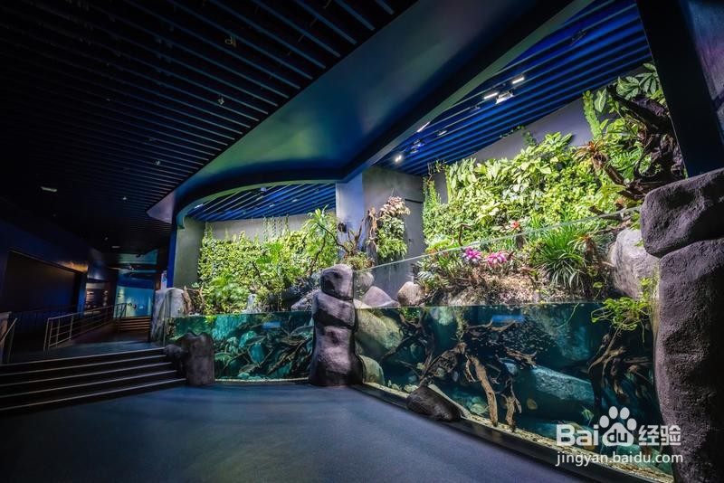 新加坡旅游简记19