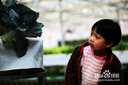 怎样培养孩子的安全意识？