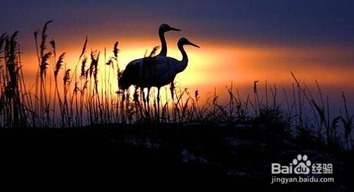 心情沮丧时，如何排解