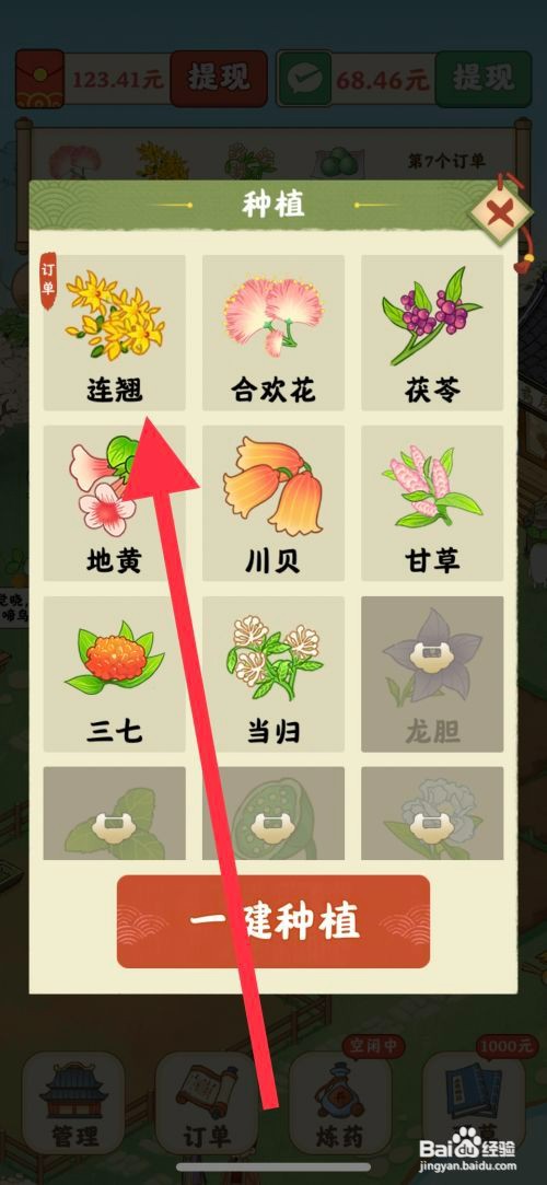 杏林世家如何种植连翘
