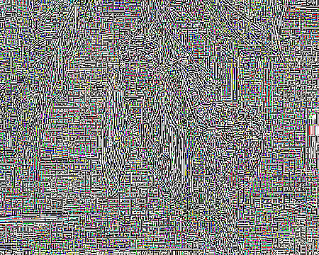 鉴别不同的图像卷积处理的模版的效果