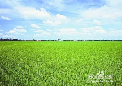 集体建设用地使用权流转