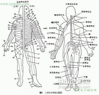 坐骨神经痛自我保健按摩方法介绍