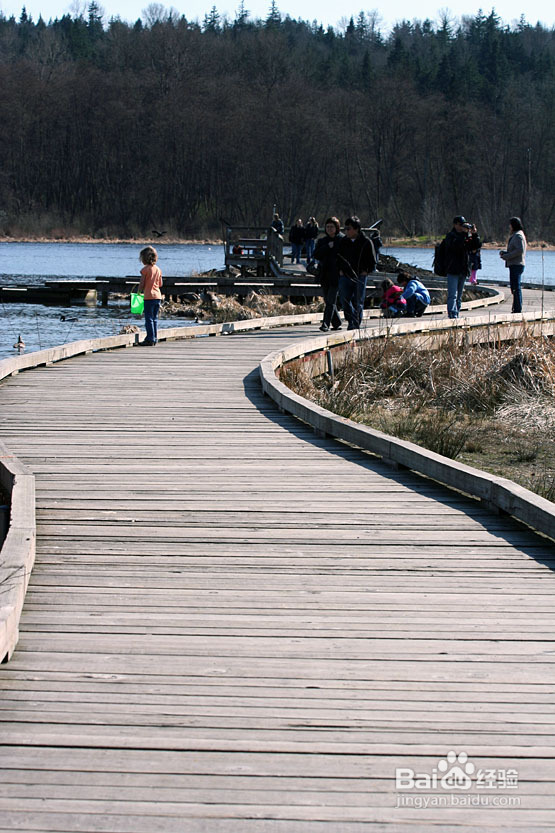 温哥华的如画春天(组图)