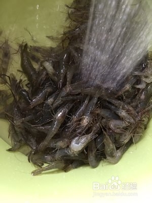 油爆小河虾的美味做法