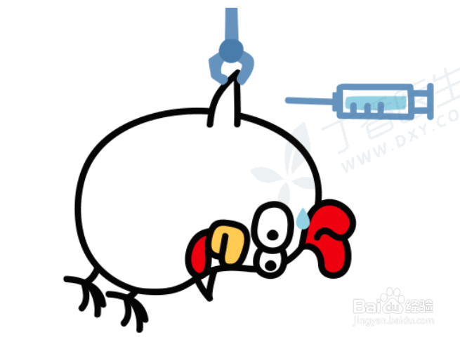鸡的这些部位不能吃,你竟然还不知道