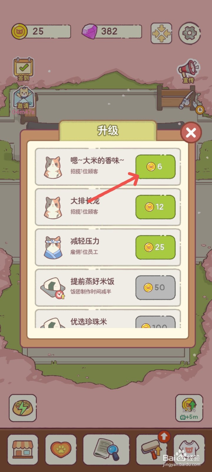 猫咪零食吧怎么招待闻到大米香味来吃饭团的猫咪