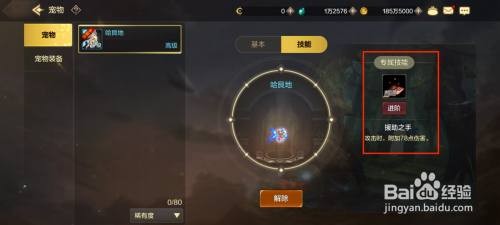 怎么在DNF手游中升级宠物技能？