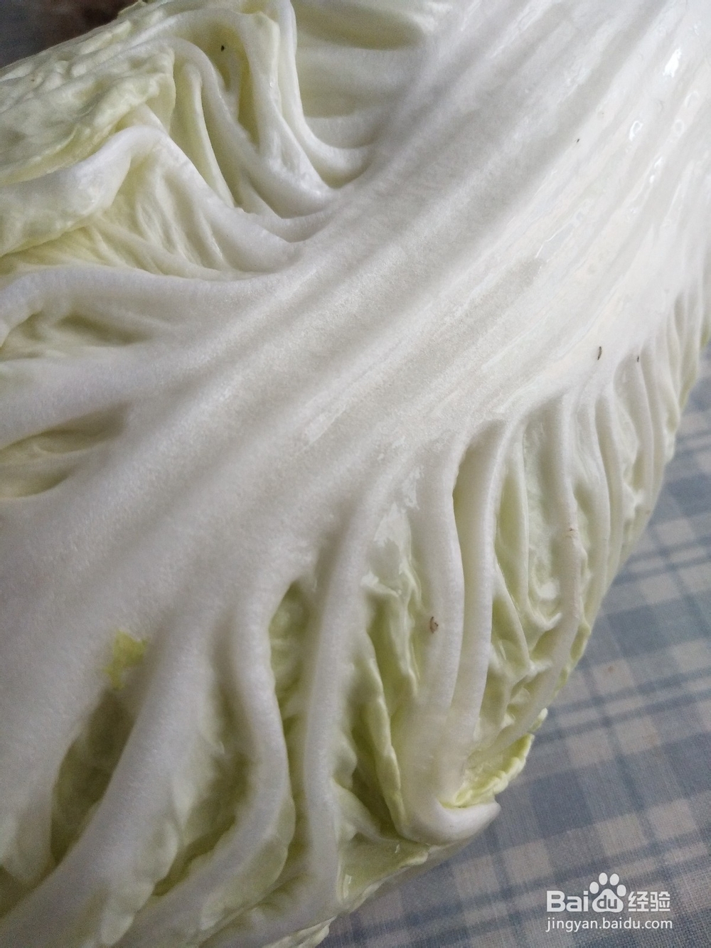 怎样做白菜粉豆腐煲