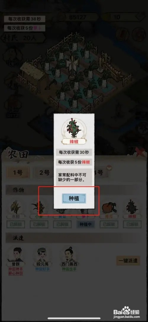 水乡芳华录如何种植辣椒