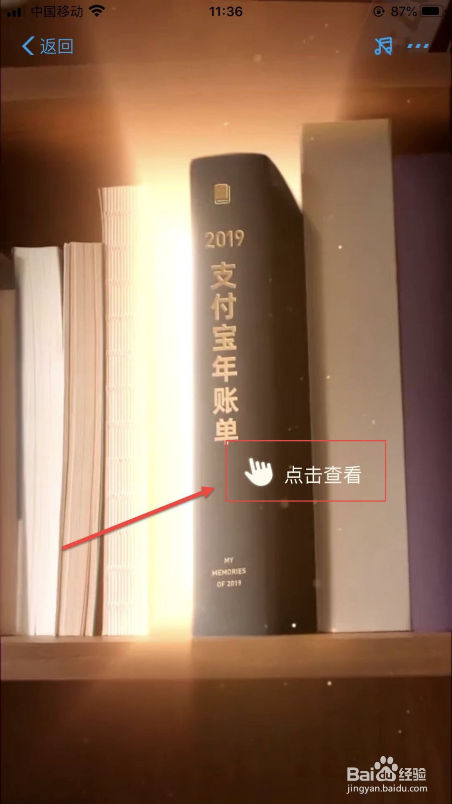 支付宝2019年度账单怎么查看