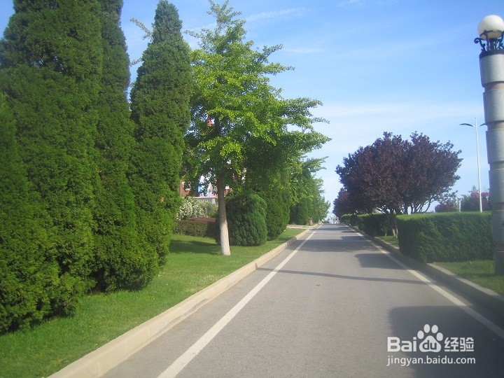 稳步推进街区有机更新应该怎么做