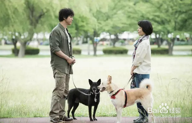 8部关于猫狗萌宠的催泪弹，看到你眼泪流干