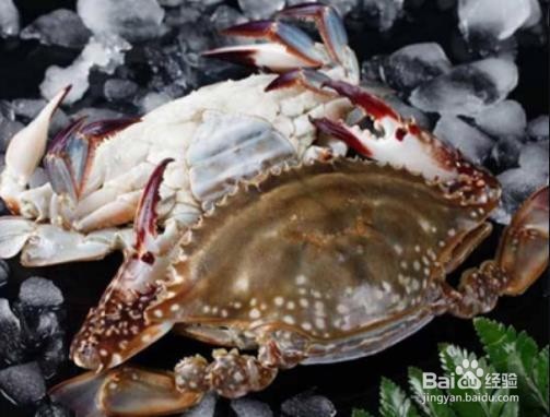 你知道如何判断梭子蟹死了多久吗？