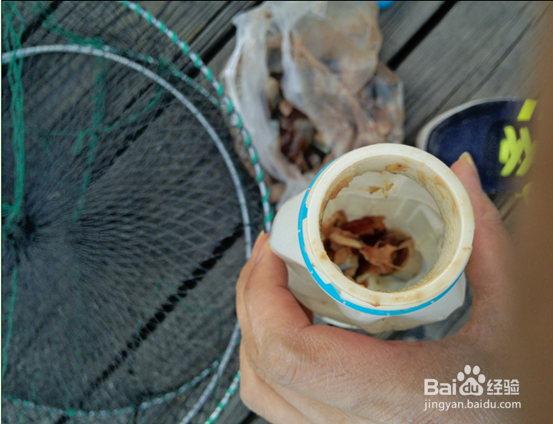 怎样在海边钓螃蟹?海边如何钓螃蟹\怎么抓螃蟹