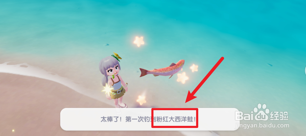 心动小镇怎么钓粉红鱼