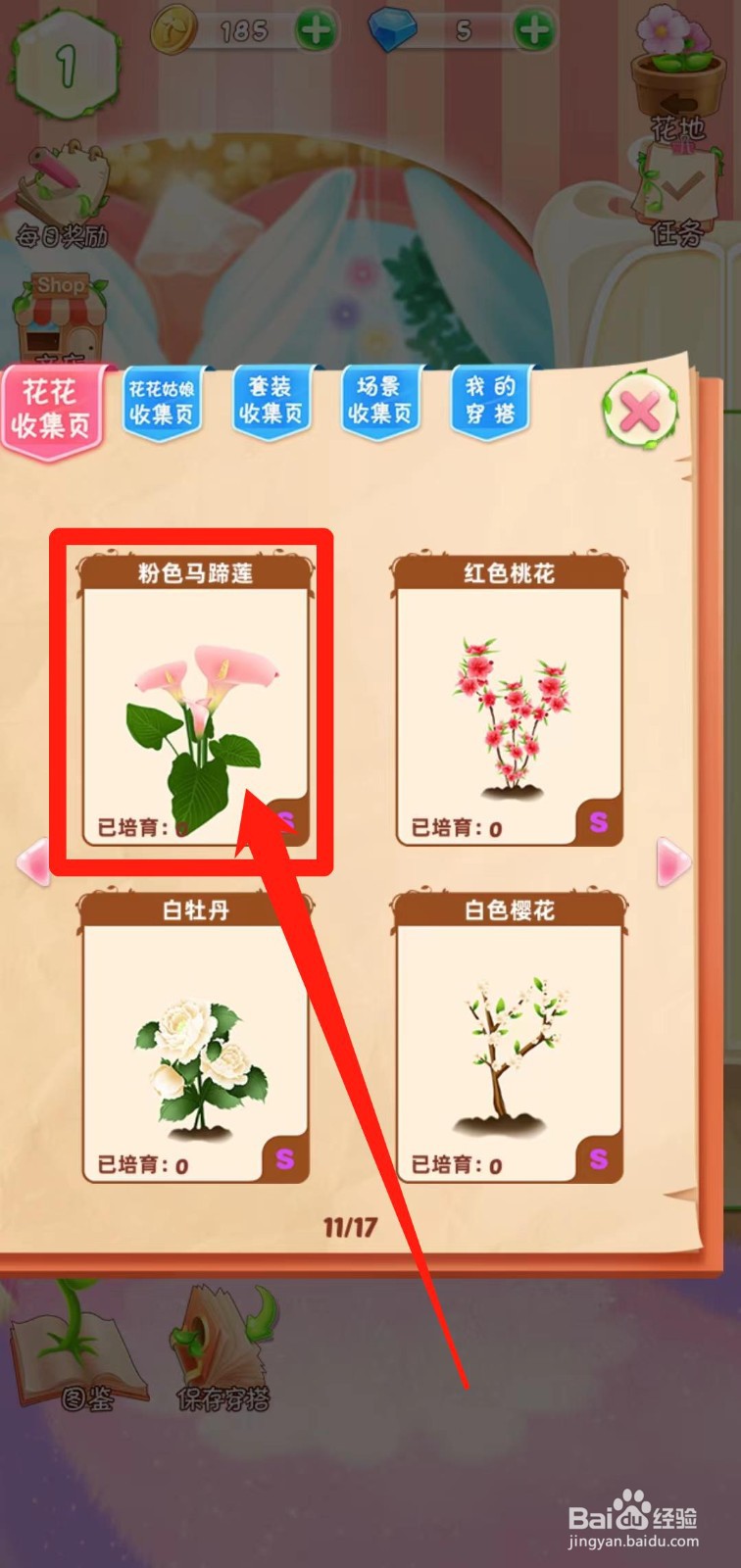 花花姑娘之魔法花园如何查看粉色马蹄莲简介